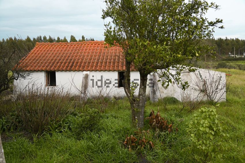 Moradia T3 à venda em Branca, Coruche — foto 14