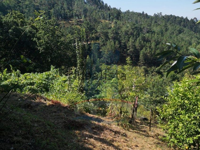 Moradia T3 à venda em Labrujó, Rendufe e Vilar do Monte, Ponte de Lima — foto 5