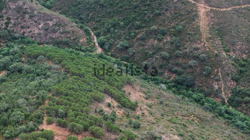 Moradia T5 à venda em Boavista dos Pinheiros, Odemira — foto 34