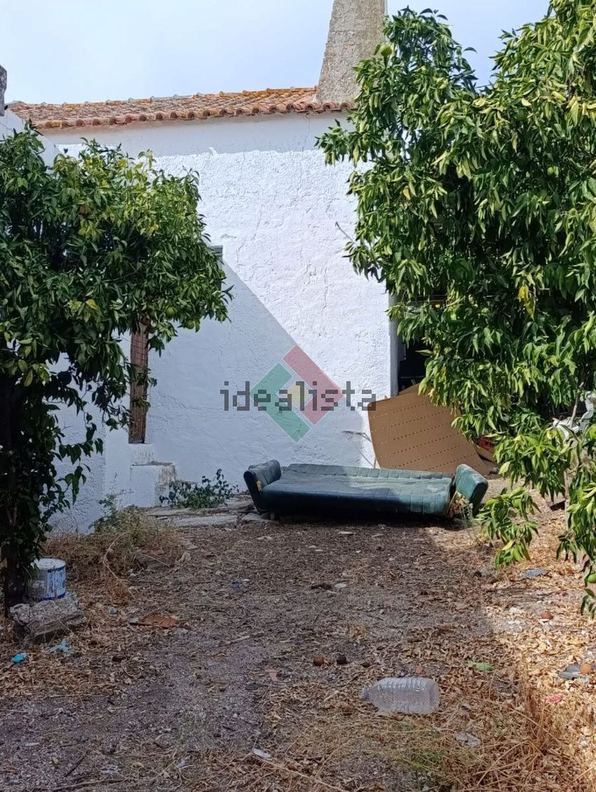 Moradia T3 à venda em Tolosa, Nisa — foto 12