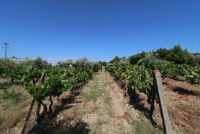 Moradia T3 à venda em Melo e Nabais, Gouveia — foto 37