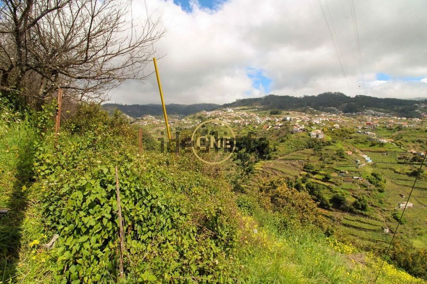 Moradia T2 à venda em Estreito de Câmara de Lobos, Câmara de Lobos — foto 30