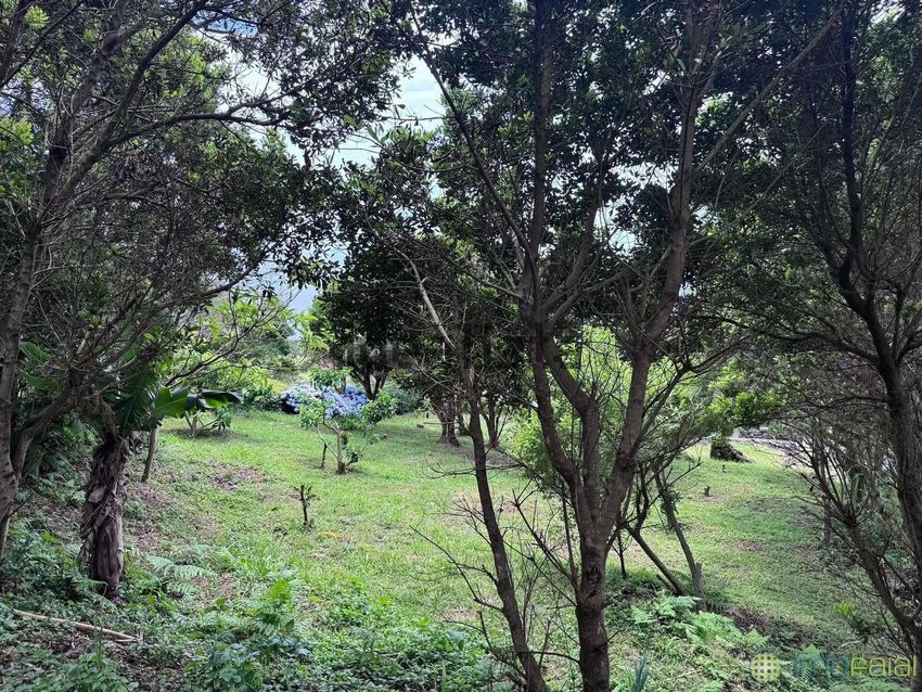 Moradia T4 à venda em Capelo, Horta — foto 14