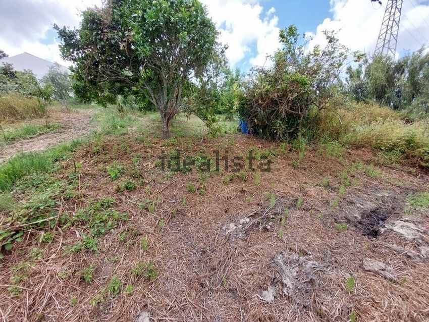 Moradia T5 à venda em Gaeiras, Óbidos — foto 40