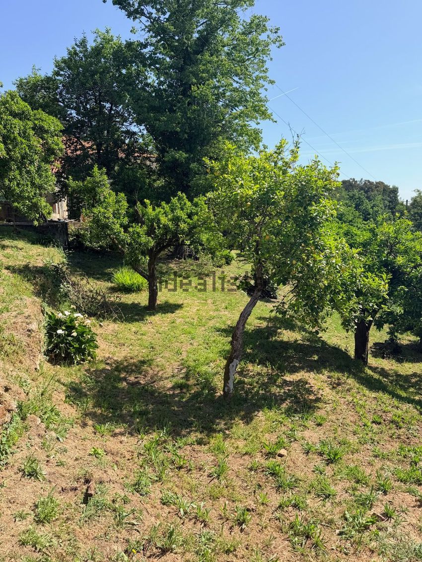 Moradia T6+ à venda em Castelões, Tondela — foto 24