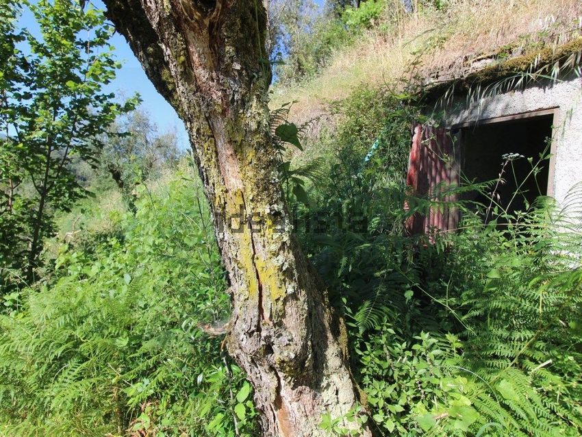Moradia T2 à venda em Vila Cova de Alva e Anseriz, Arganil — foto 25