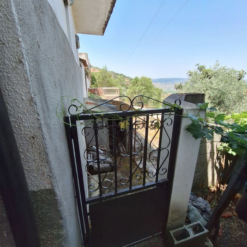 Moradia T4 à venda em Eucisia, Alfândega da Fé — foto 22