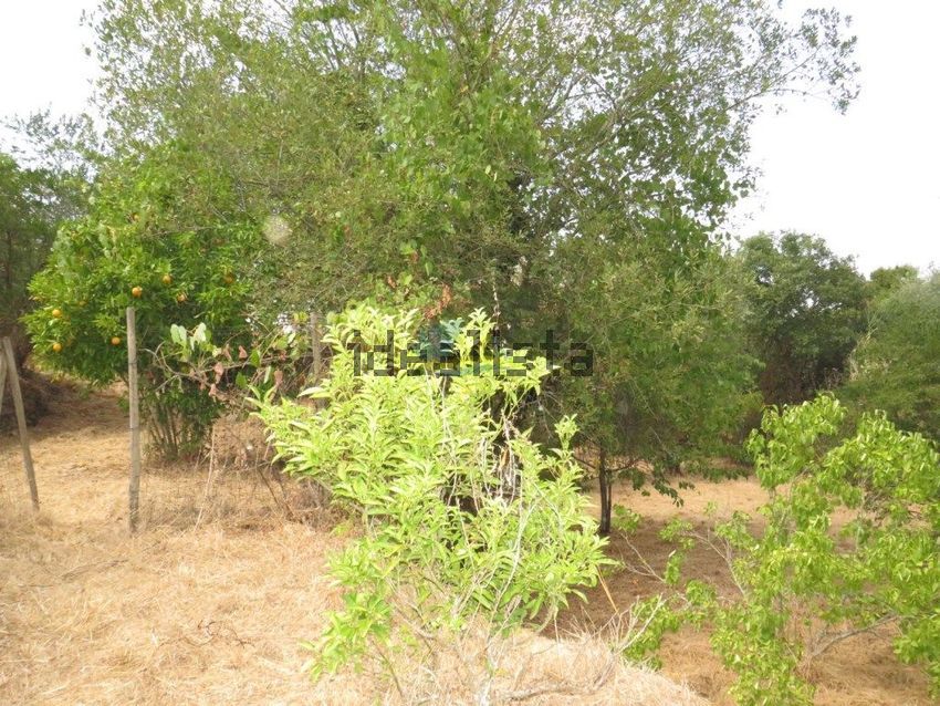 Moradia T3 à venda em Vila Nova, Miranda do Corvo — foto 18
