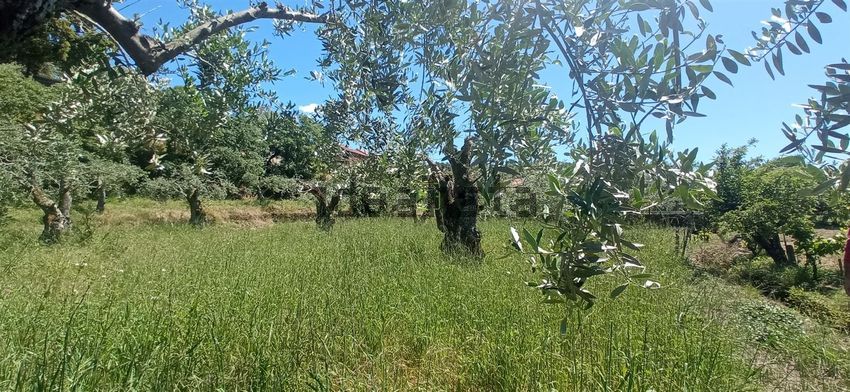 Moradia T1 à venda em Aranhas, Penamacor — foto 26