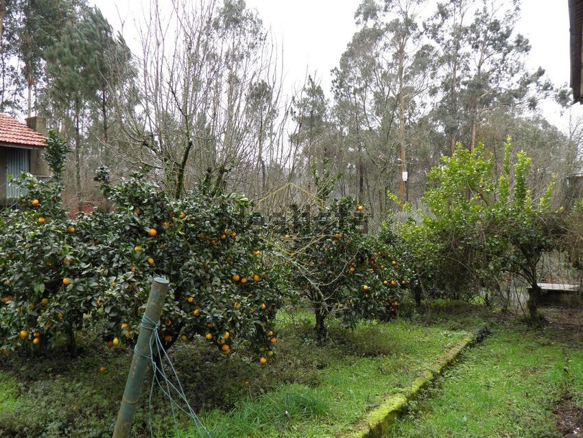Moradia T5 à venda em Arca e Varzielas, Oliveira de Frades — foto 4