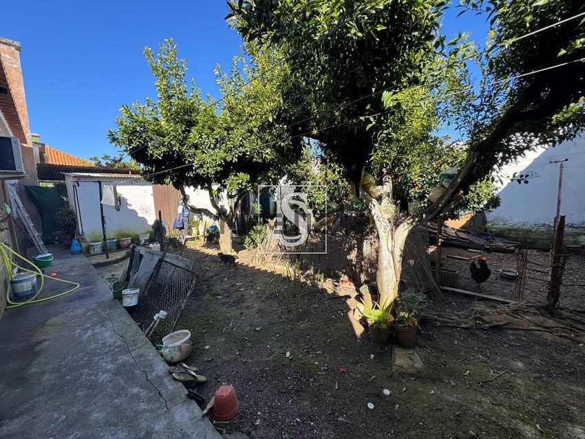 Moradia T4 à venda em Benavila e Valongo, Avis — foto 8
