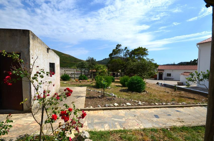 Moradia T5 à venda em Malveira e São Miguel de Alcainça, Mafra — foto 19