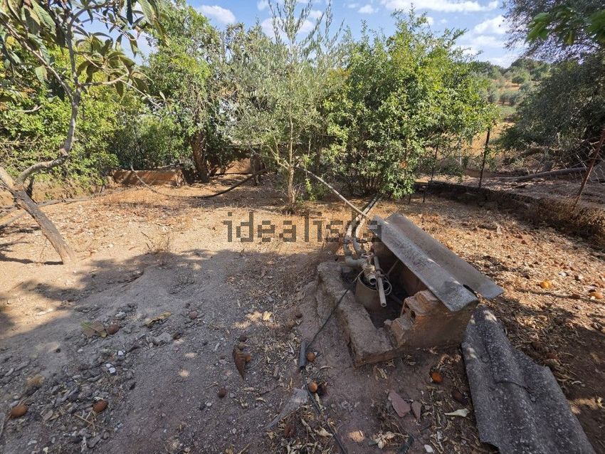 Moradia T3 à venda em Nossa Senhora da Conceição e São Bartolomeu, Vila Viçosa — foto 19