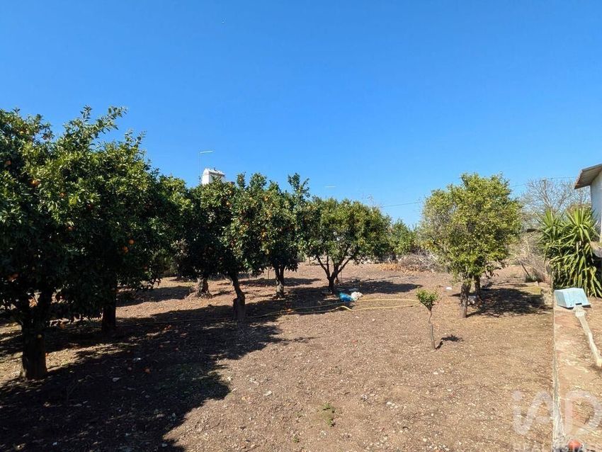Moradia T6+ à venda em Veiros, Estremoz — foto 29