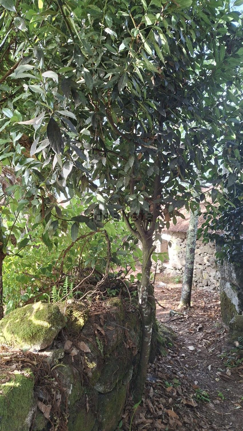 Moradia T0 à venda em Couto, Arcos de Valdevez — foto 20