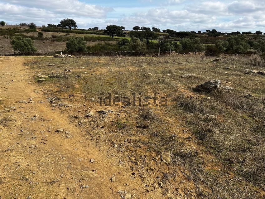 Moradia T2 à venda em Santa Cruz, Almodôvar — foto 27