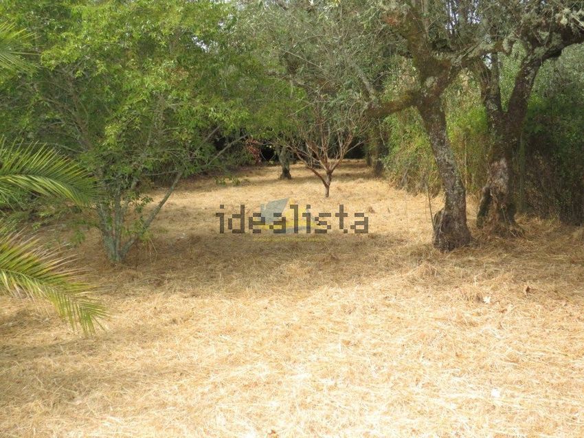 Moradia T3 à venda em Vila Nova, Miranda do Corvo — foto 15