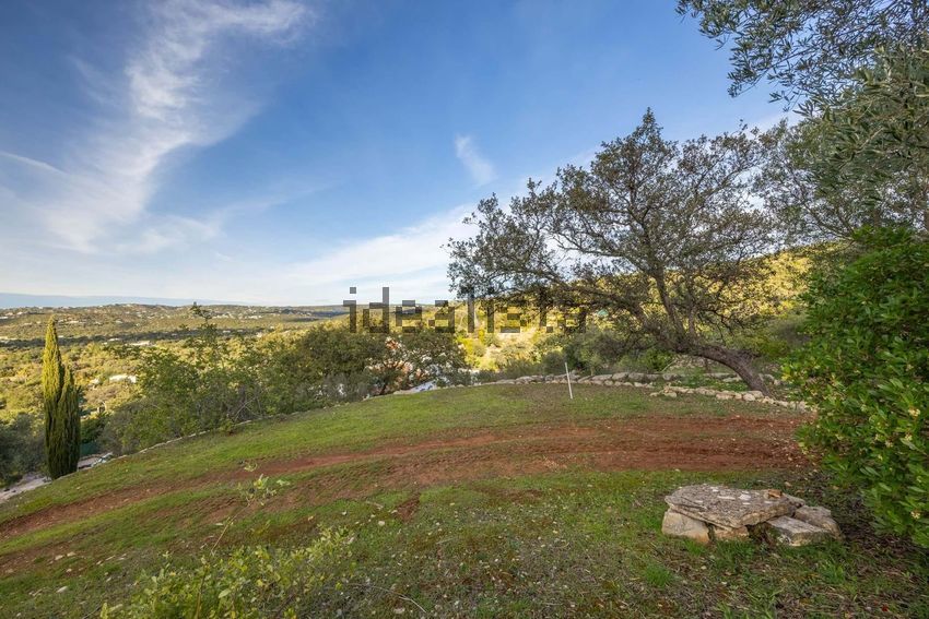 Moradia T3 à venda em Santa Bárbara de Nexe, Faro — foto 29