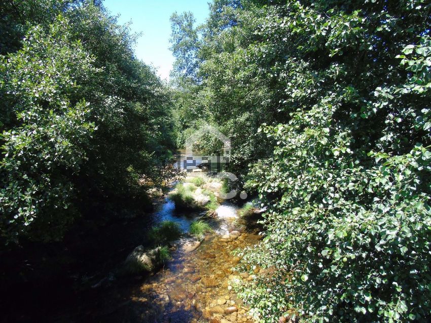 Moradia T1 à venda em Cerva e Limões, Ribeira de Pena — foto 20