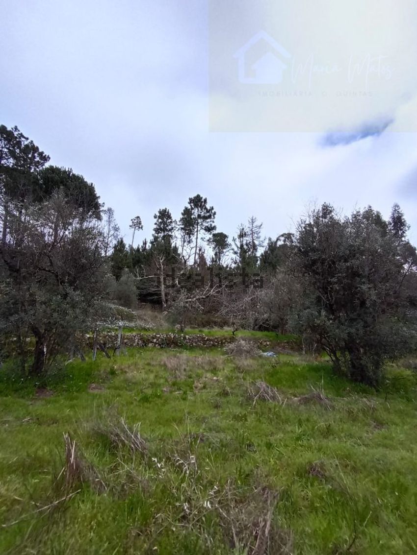 Moradia T2 à venda em Quintela de Azurara, Mangualde — foto 36