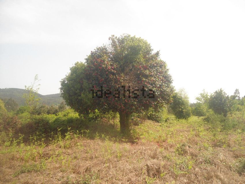 Moradia T0 à venda em Mentrestido, Vila Nova de Cerveira — foto 10