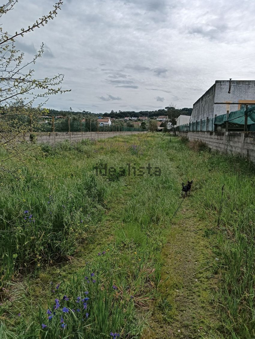 Moradia T3 à venda em Chamusca e Pinheiro Grande, Chamusca — foto 11