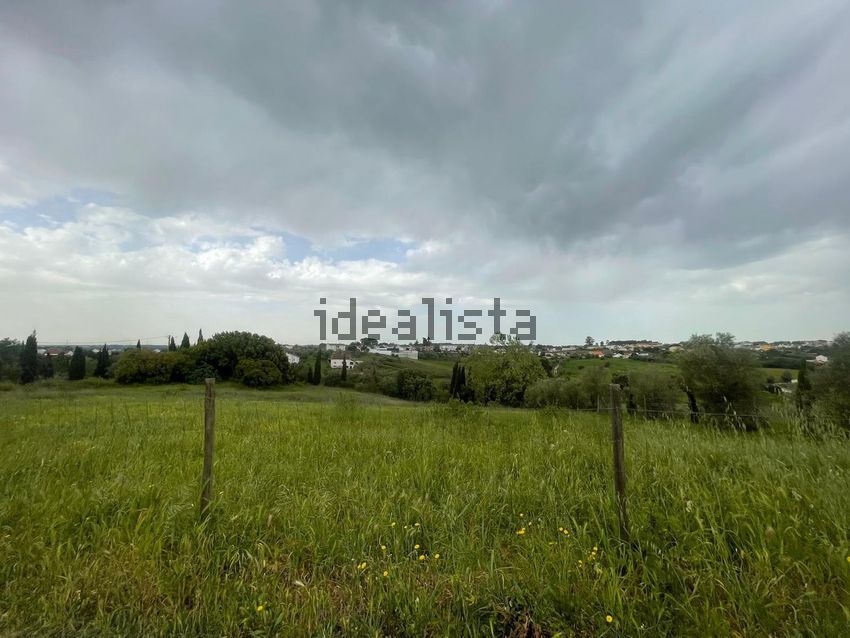 Moradia T2 à venda em Cartaxo e Vale da Pinta, Cartaxo — foto 16