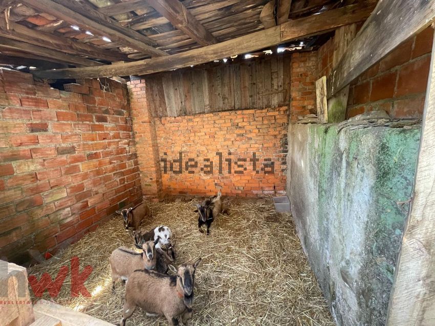 Moradia T3 à venda em Sarzedo, Arganil — foto 18