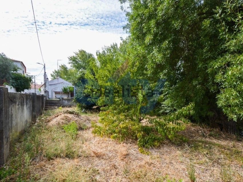Moradia T3 à venda em Alcórrego e Maranhão, Avis — foto 23