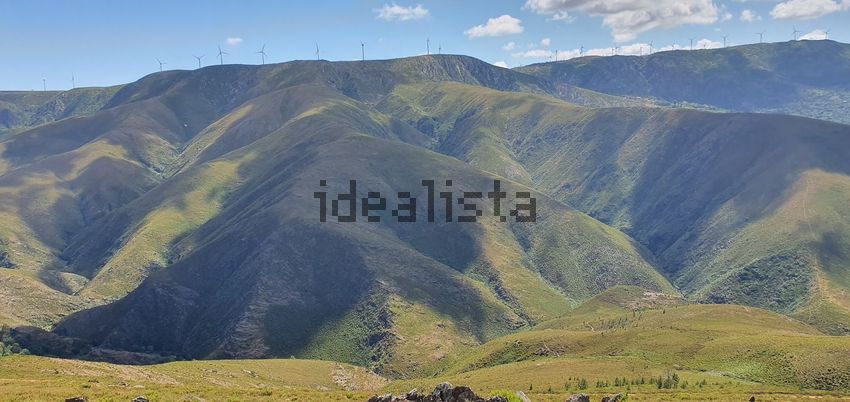 Moradia T1 à venda em Carvalhais e Candal, São Pedro do Sul — foto 9