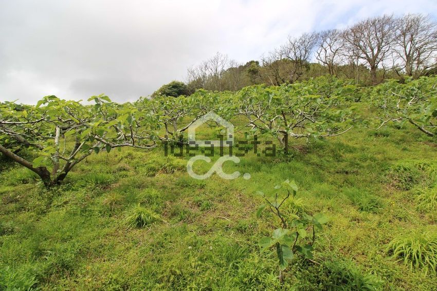 Moradia T3 à venda em Ribeira Seca, Vila Franca do Campo — foto 4