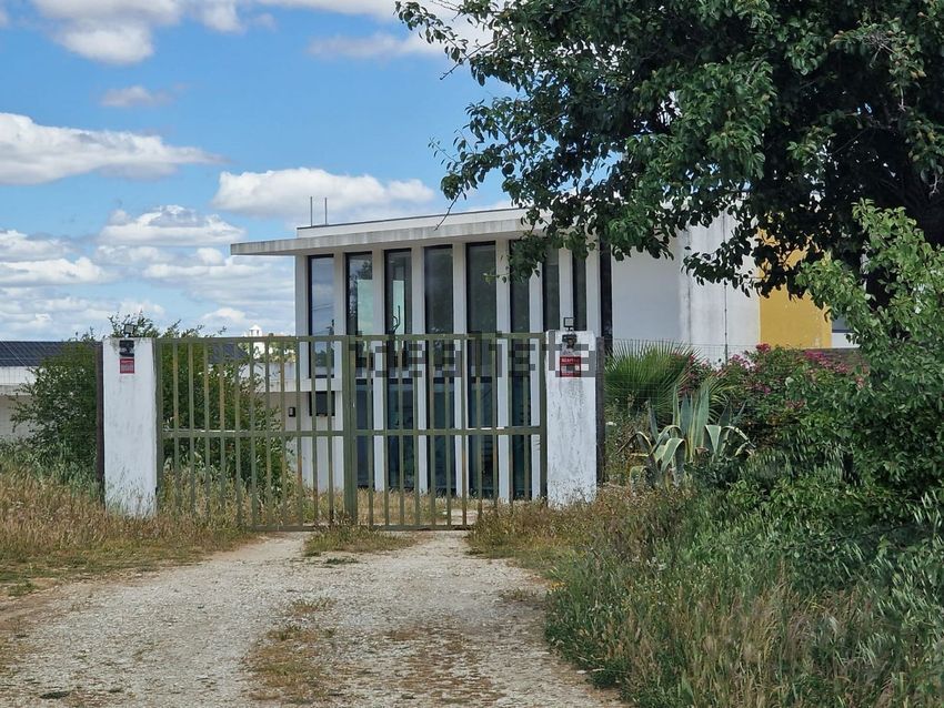 Moradia T4 à venda em Terena (São Pedro), Alandroal — foto 24