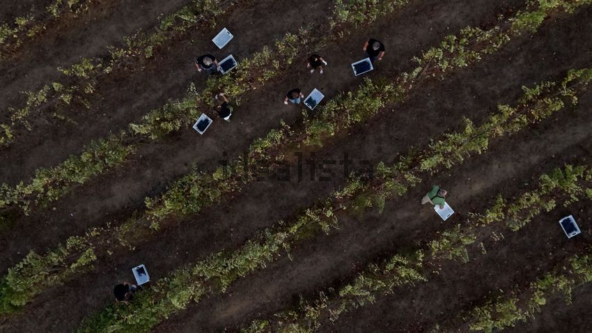 Moradia T4 à venda em Nossa Senhora da Vila, Montemor-o-Novo — foto 8