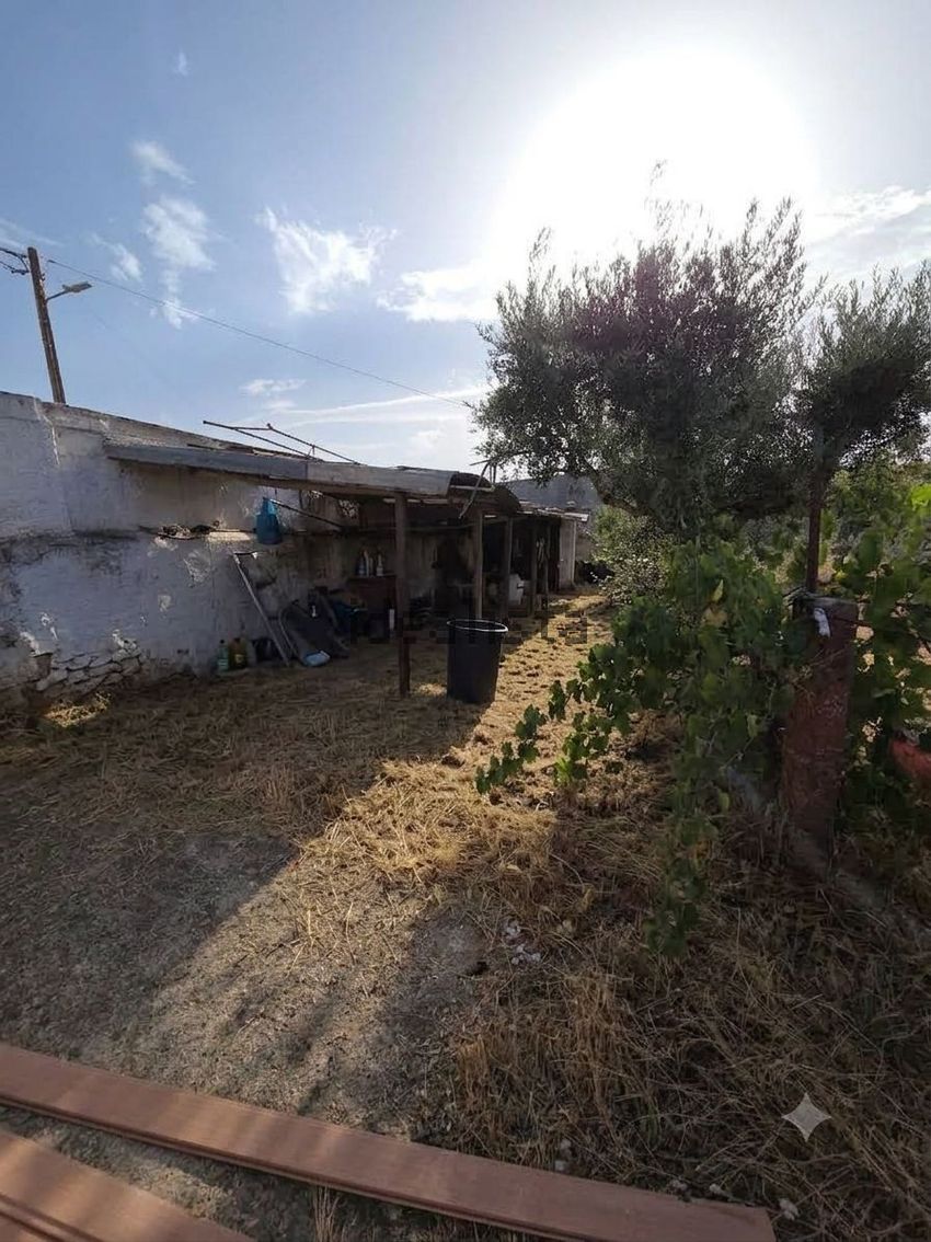 Moradia T4 à venda em Pedrógão, Vidigueira — foto 3