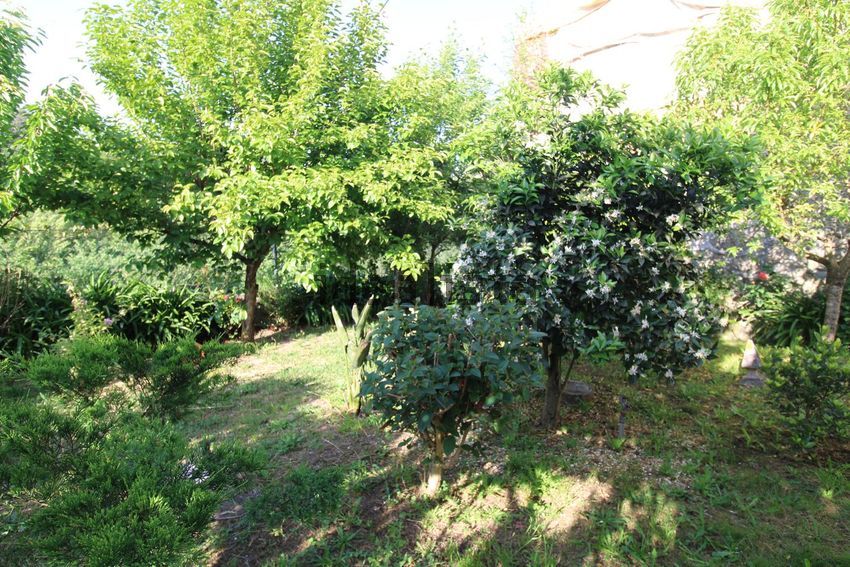 Moradia T2 à venda em Fonte Arcada, Penafiel — foto 9