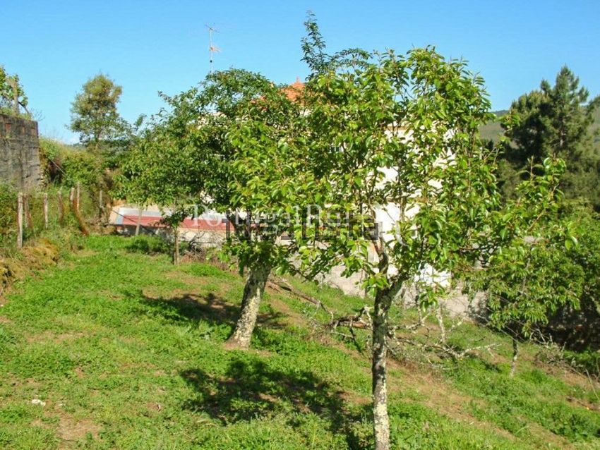 Moradia T4 à venda em Proença-a-Nova e Peral, Proença-a-Nova — foto 35