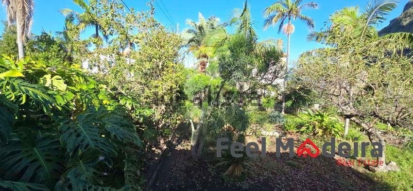 Moradia T4 à venda em Ponta delgada, São Vicente — foto 19