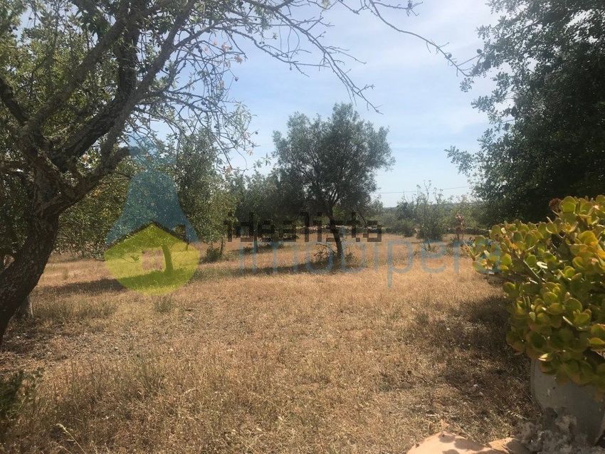 Moradia T4 à venda em Ferreiras, Albufeira — foto 10