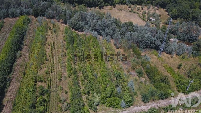 Moradia T0 à venda em Serpins, Lousã — foto 15