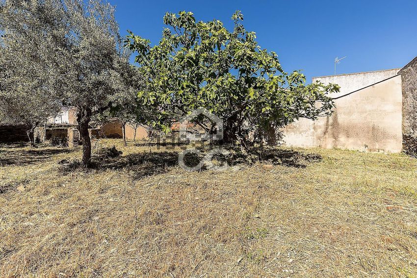 Moradia T4 à venda em Amareleja, Moura — foto 33