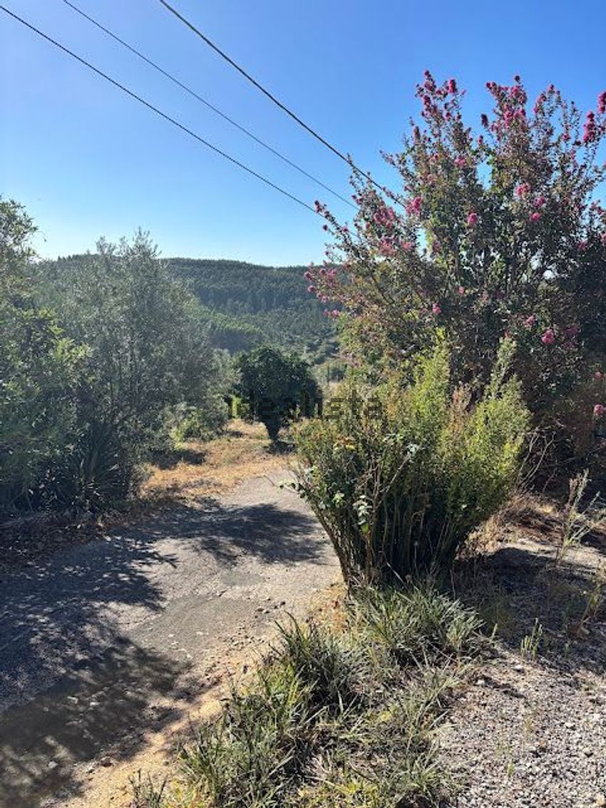 Moradia T0 à venda em Sabacheira, Tomar — foto 3
