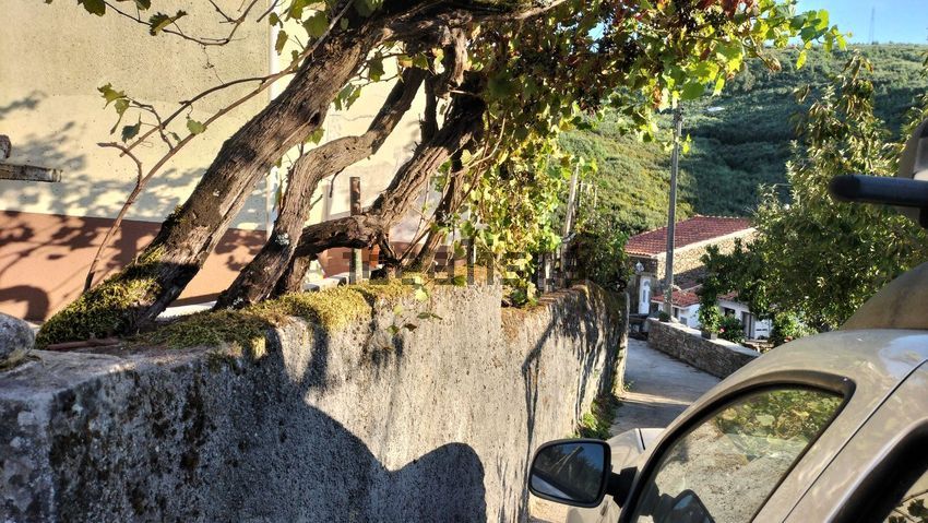 Moradia T2 à venda em Aldeia das dez, Oliveira do Hospital — foto 3