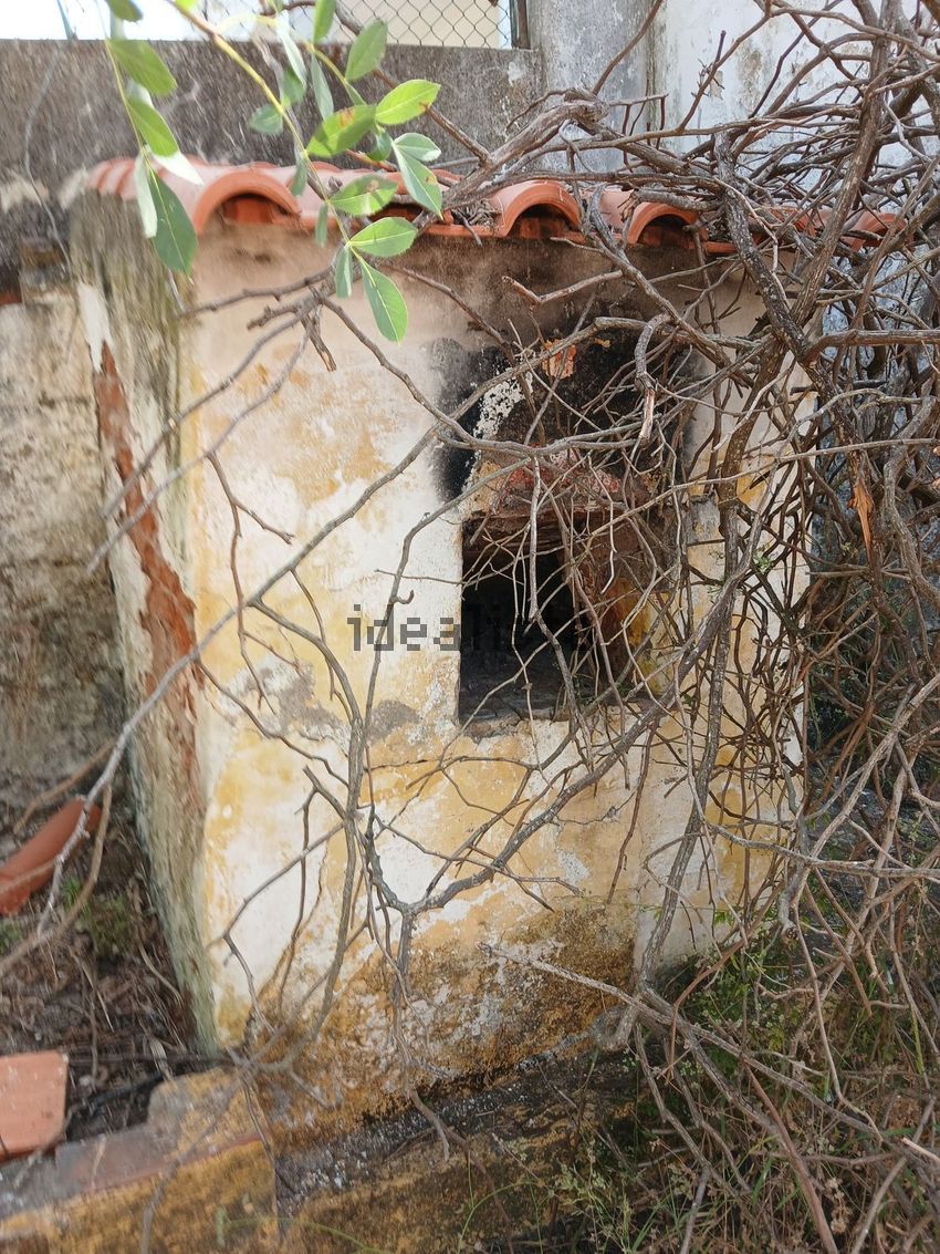 Moradia T4 à venda em Figueira e Barros, Avis — foto 31