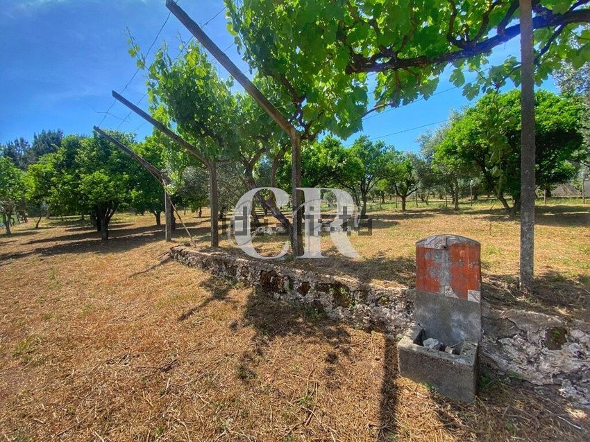 Moradia T2 à venda em Figueiró dos Vinhos e Bairradas, Figueiró dos Vinhos — foto 7