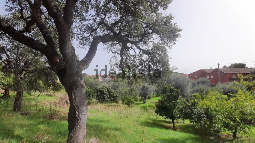 Moradia T4 à venda em Sobral do Campo, Castelo Branco — foto 10