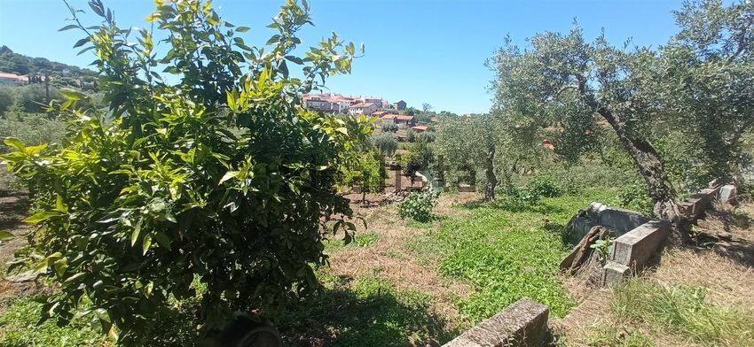 Moradia T1 à venda em Aranhas, Penamacor — foto 19
