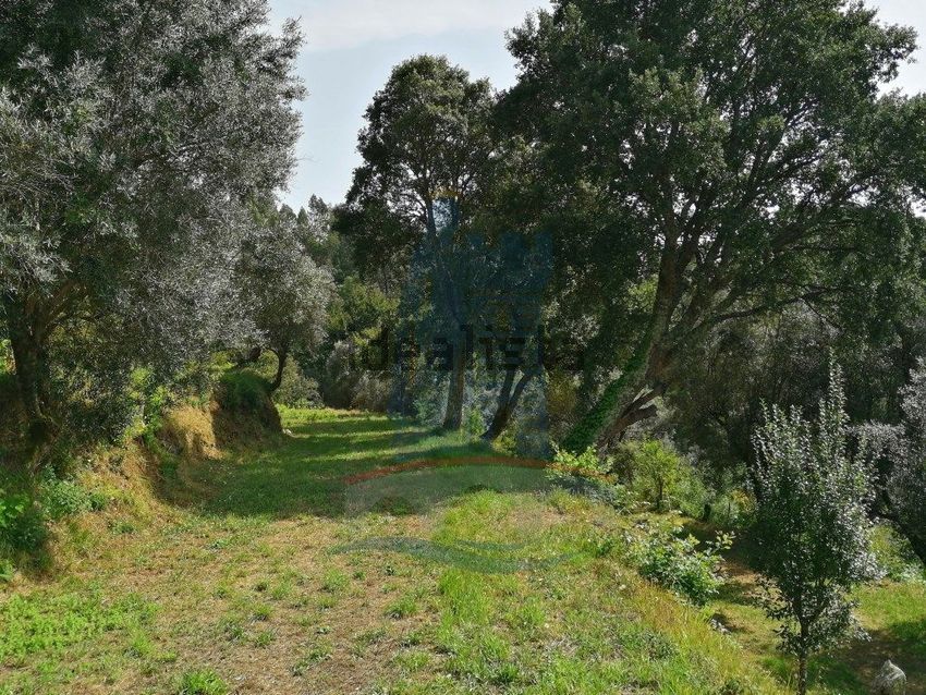 Moradia T3 à venda em Bárrio e Cepões, Ponte de Lima — foto 24