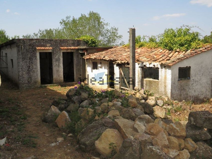 Moradia T3 à venda em Vila Nova, Miranda do Corvo — foto 11