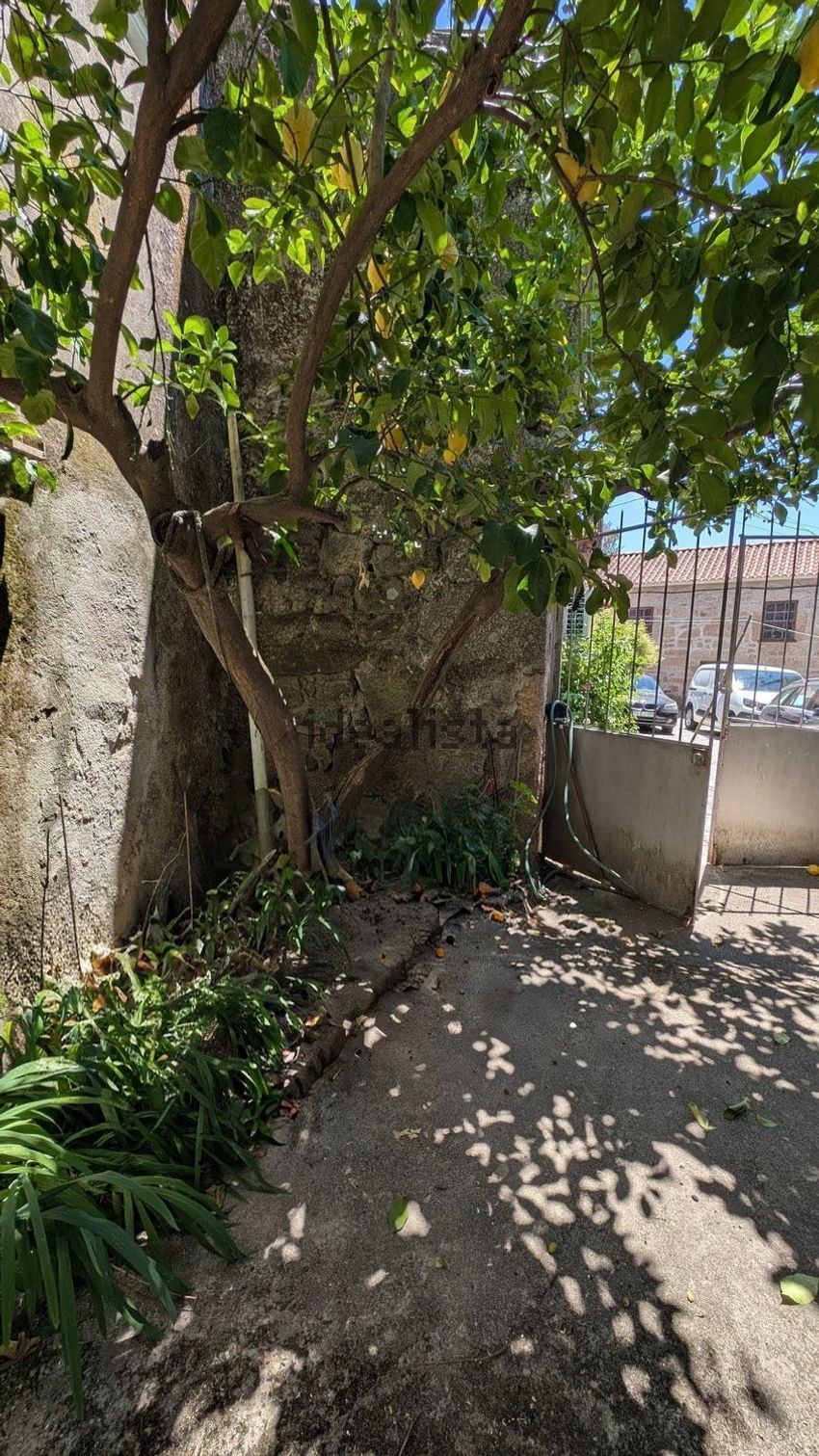 Moradia T4 à venda em Caria, Belmonte — foto 19