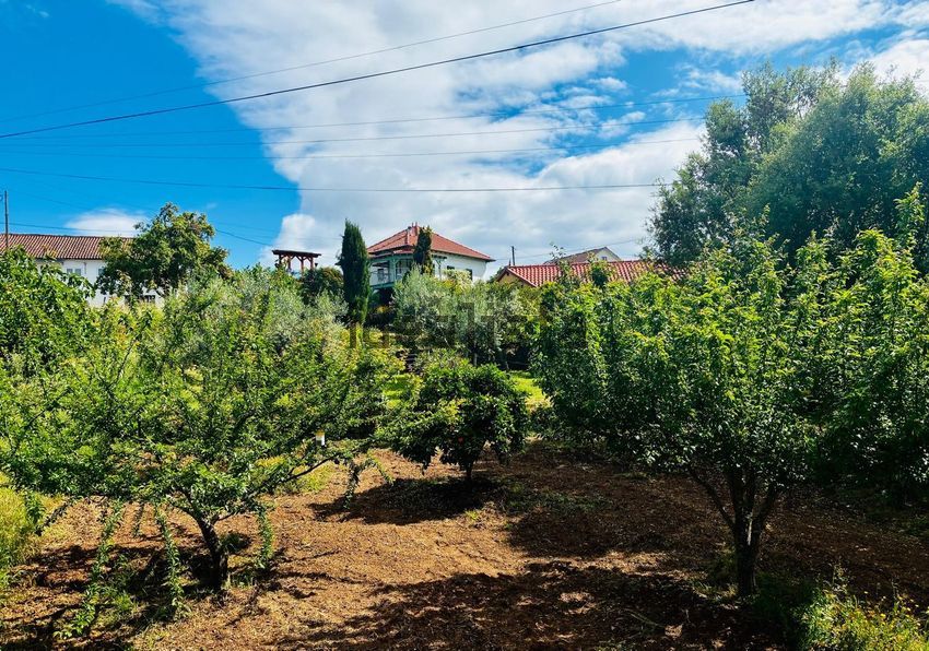 Moradia T2 à venda em Graça, Pedrógão Grande — foto 11